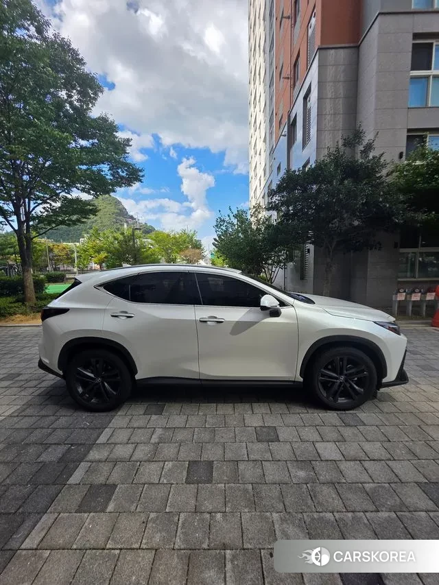 Lexus NX350h Second generation id 3288587 из Кореи 14