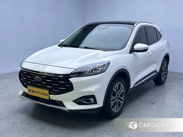 Ford Ruiji id 4238442 из Китая 19