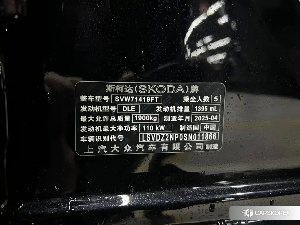 Skoda Speed pie id 4538732 из Китая 18