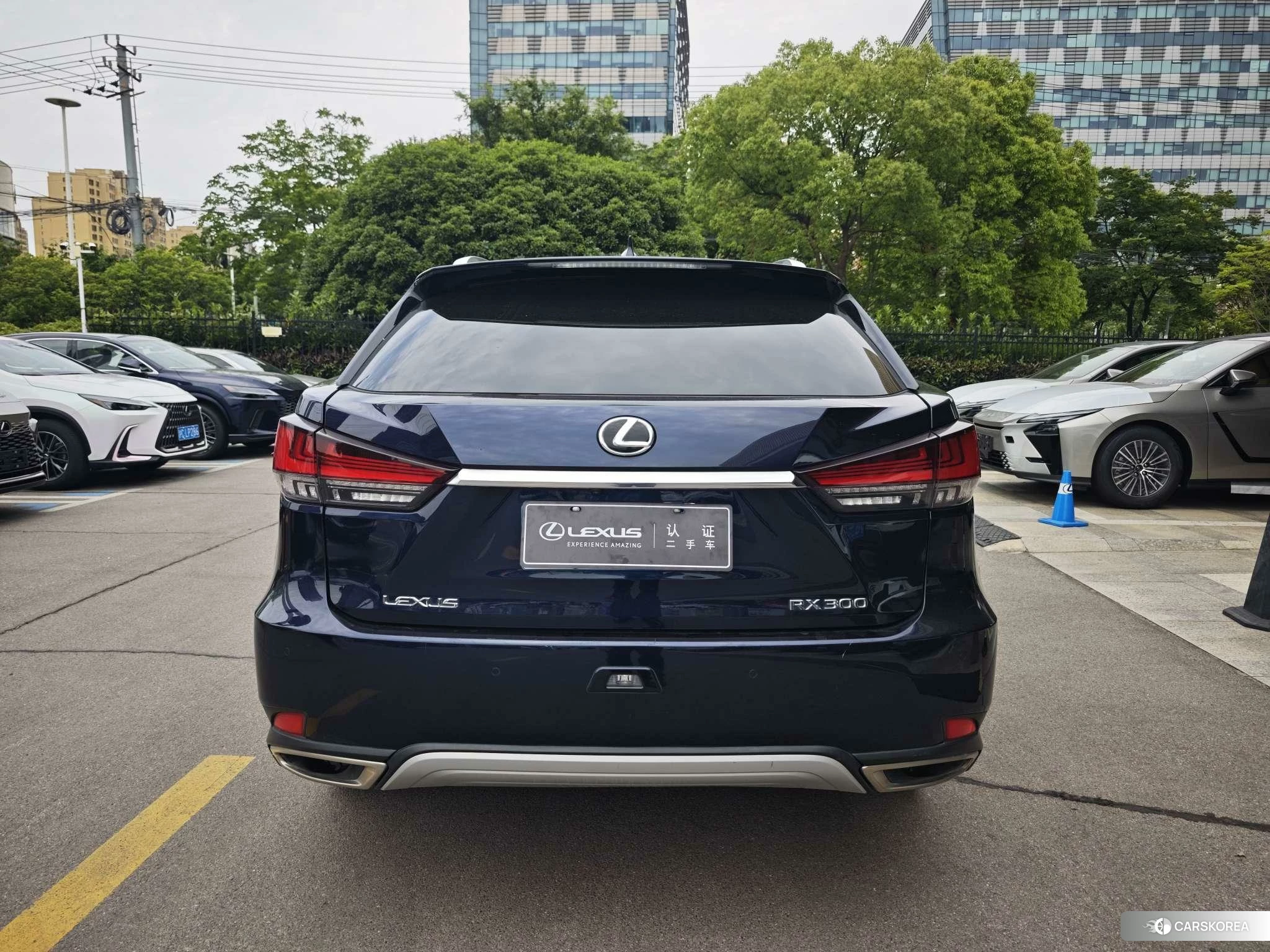 Lexus RX id 4455429 из Китая 15