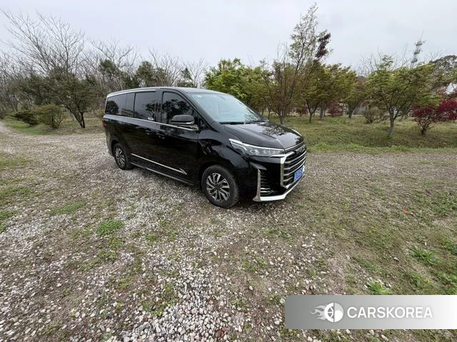 Chase G20 id 4240145 из Китая 9