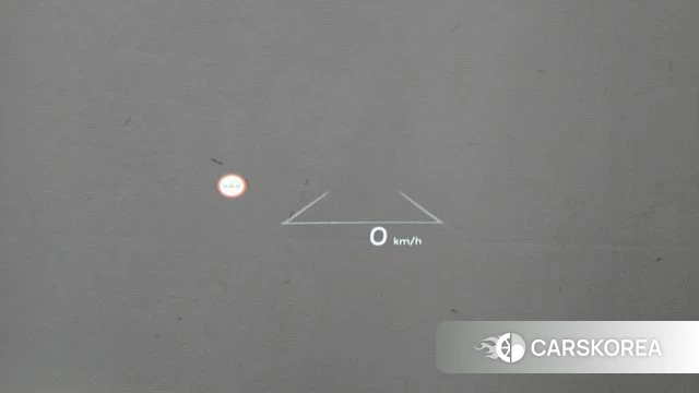 Hyundai Ionic 5 id 4177605 из Кореи 19