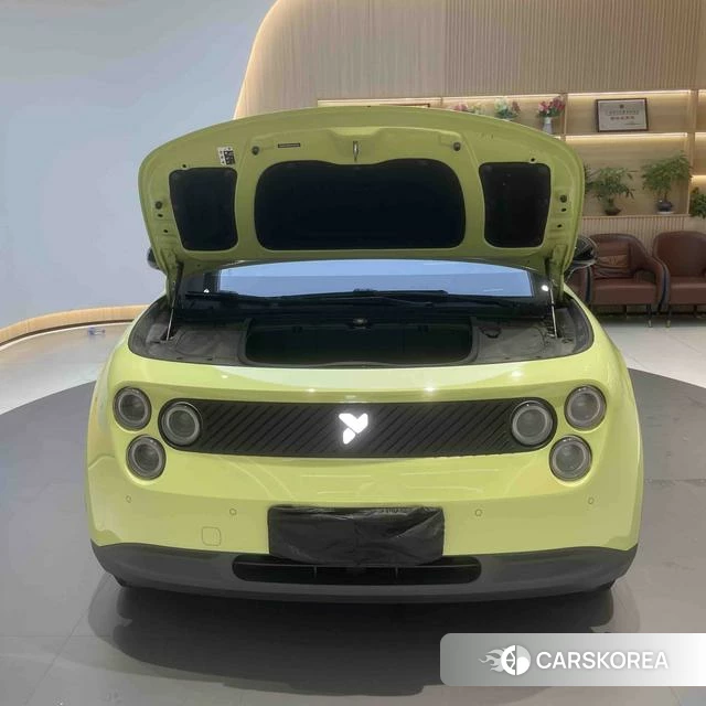 firefly firefly Unknown id 3993585 из Китая 31