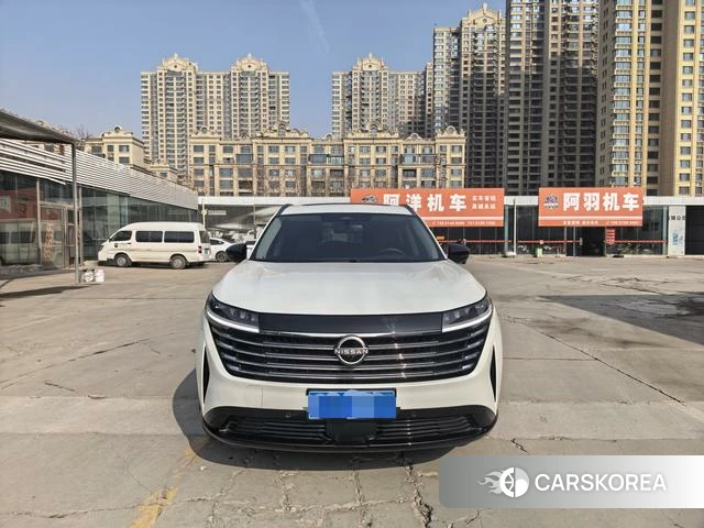 Nissan Exploring the land id 4275741 из Китая 13