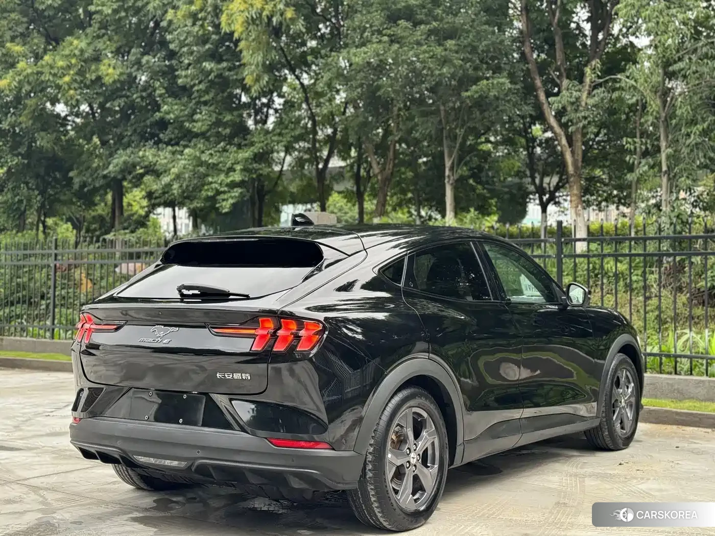 Ford Electric horse id 4515499 из Китая 18
