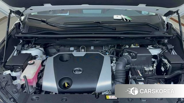 Lexus NX id 4374480 из Китая 23