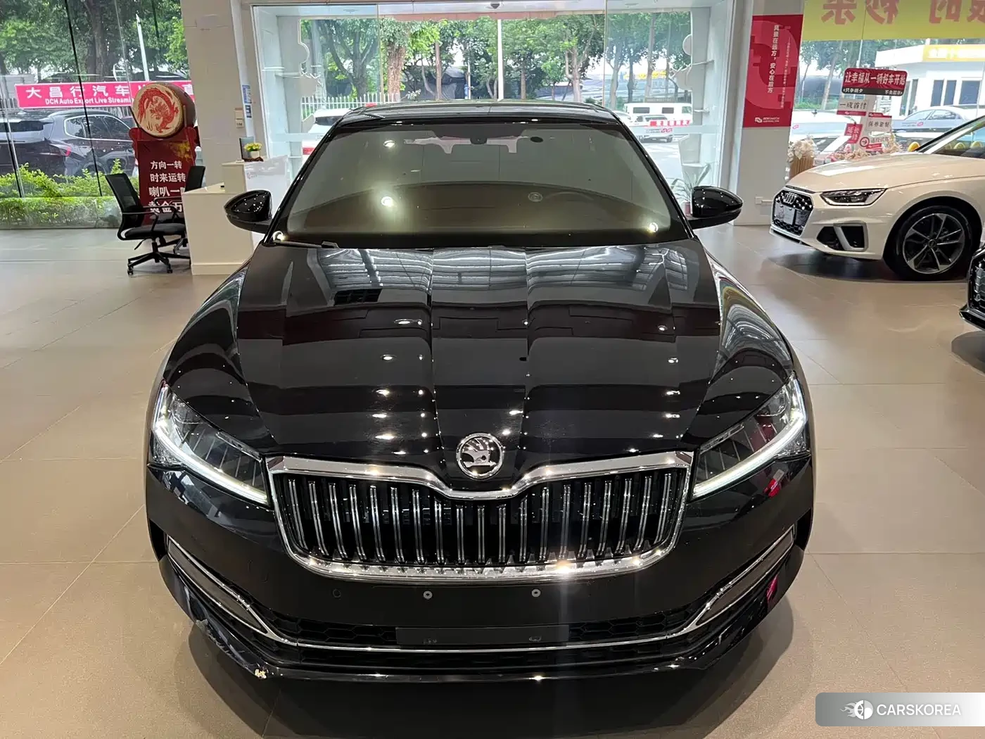 Skoda Speed pie id 4515546 из Китая 19