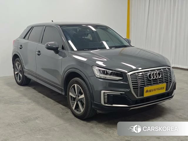Audi Q2L e-tron id 3983254 из Китая 19