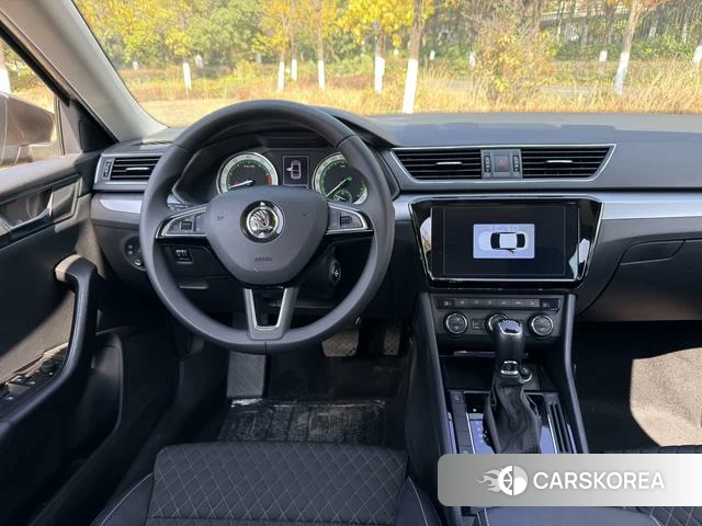 Skoda Speed pie id 3869879 из Китая 20