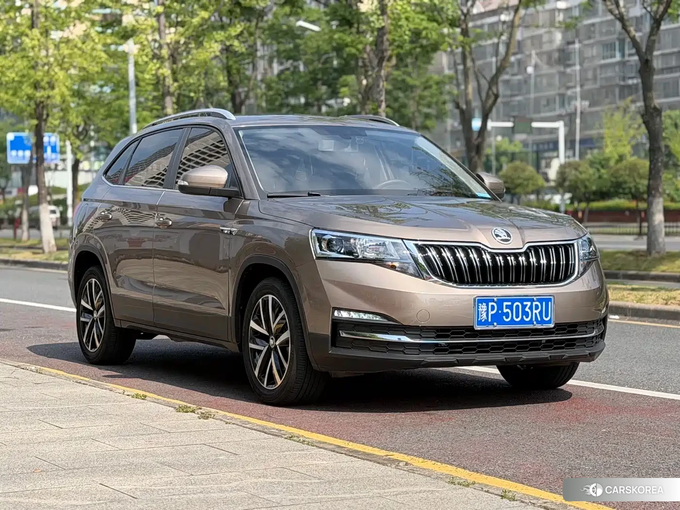 Skoda Kamiq id 4644718 из Китая 14