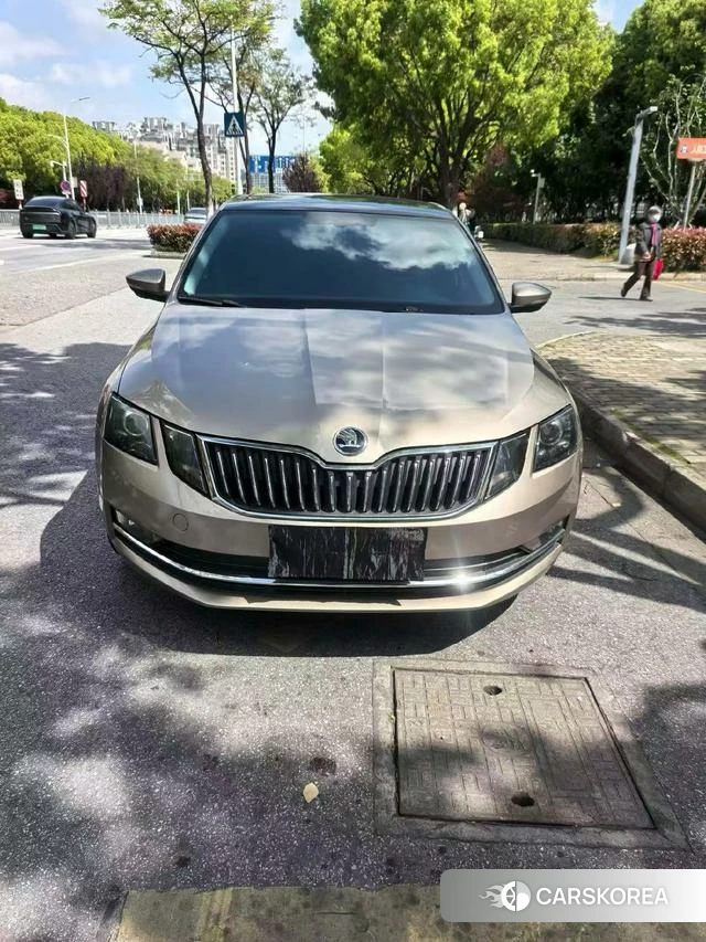 Skoda Octavia id 4242056 из Китая 9
