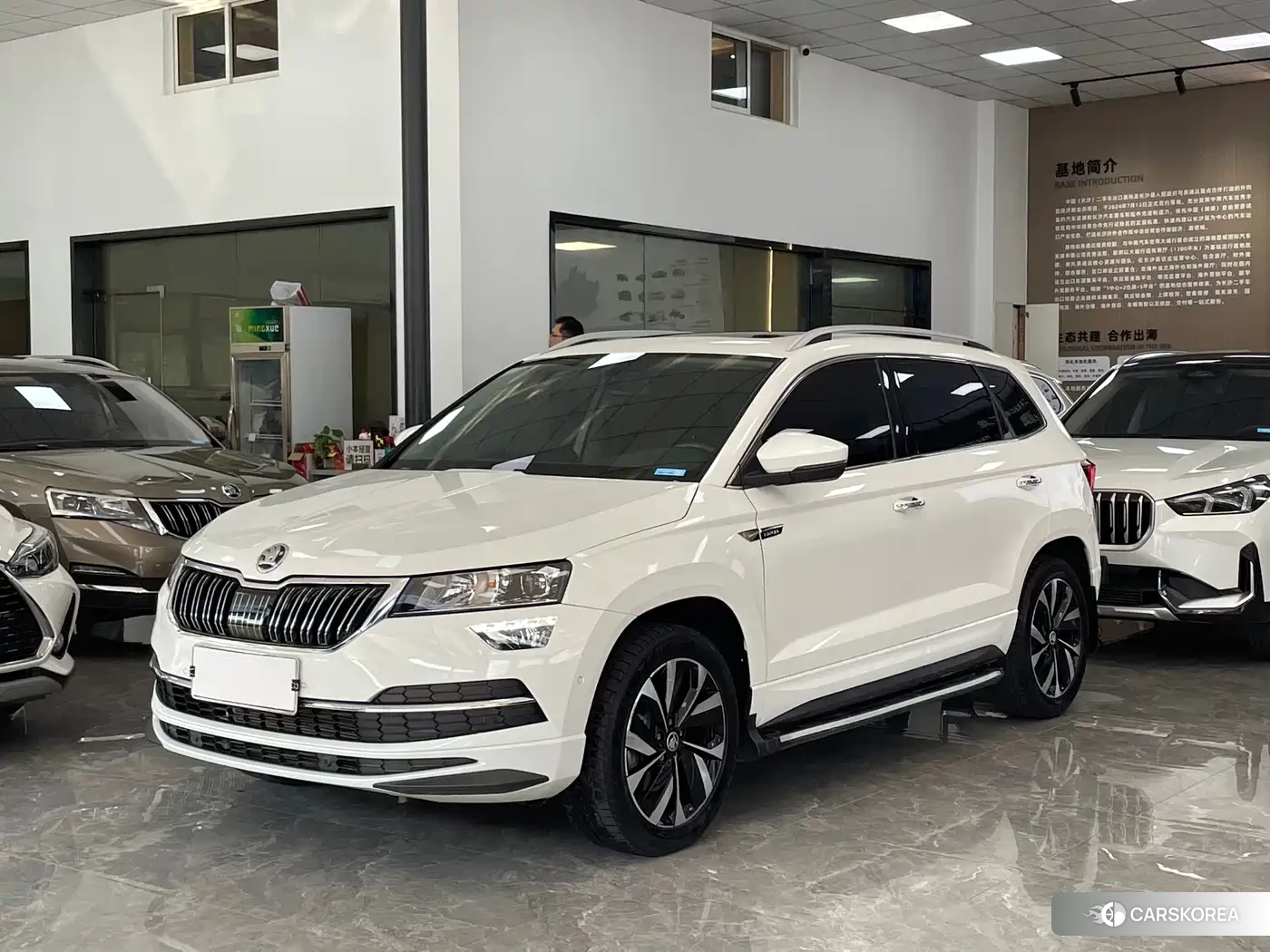 Skoda Krok id 4570583 из Китая 14