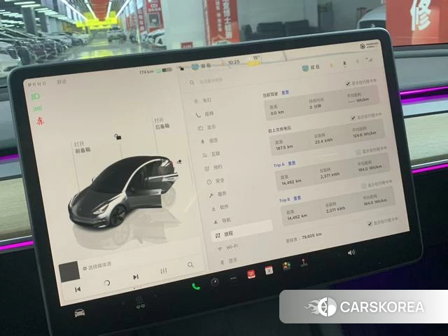 Tesla Model 3 id 3890023 из Китая 9