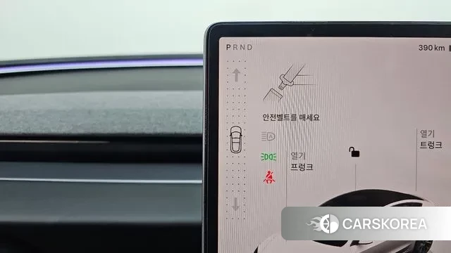 Tesla Model 3 id 3580838 из Кореи 19