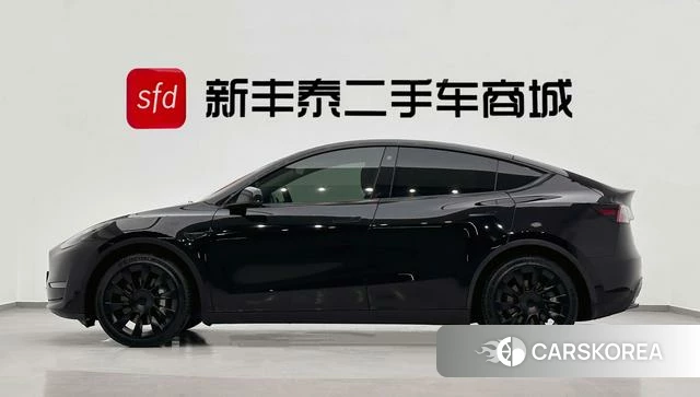 Tesla Model Y id 3856359 из Китая 29