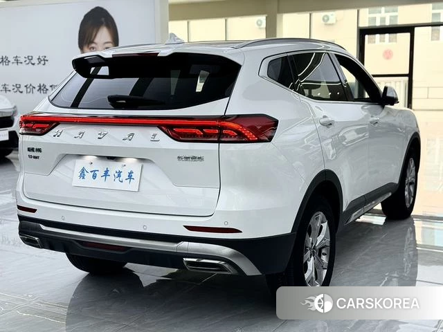 Haval H6 id 4254042 из Китая 10