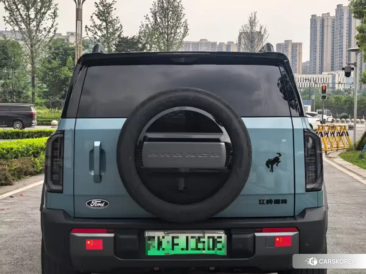 Ford Smart Fun Horse id 4570483 из Китая 9