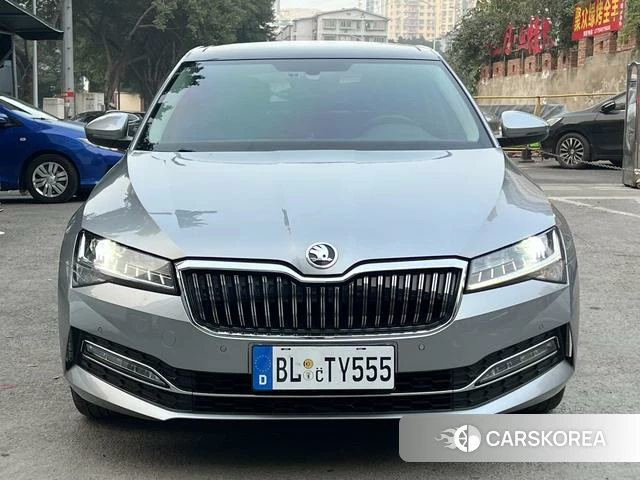 Skoda Speed pie id 4368302 из Китая 9