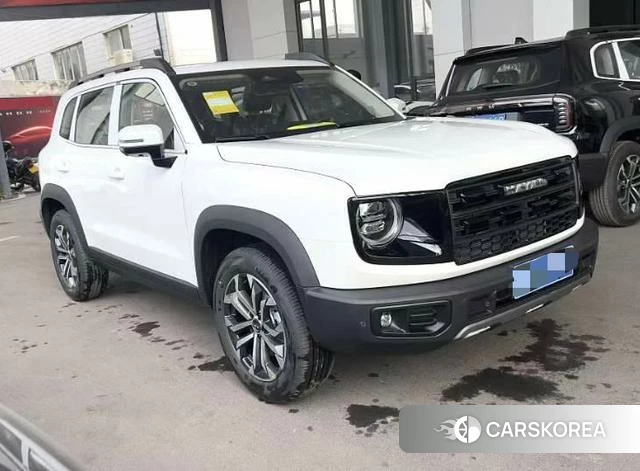 Haval Big dog id 4182574 из Китая 9