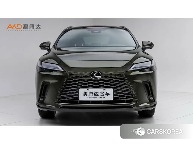Lexus RX id 4276590 из Китая 9