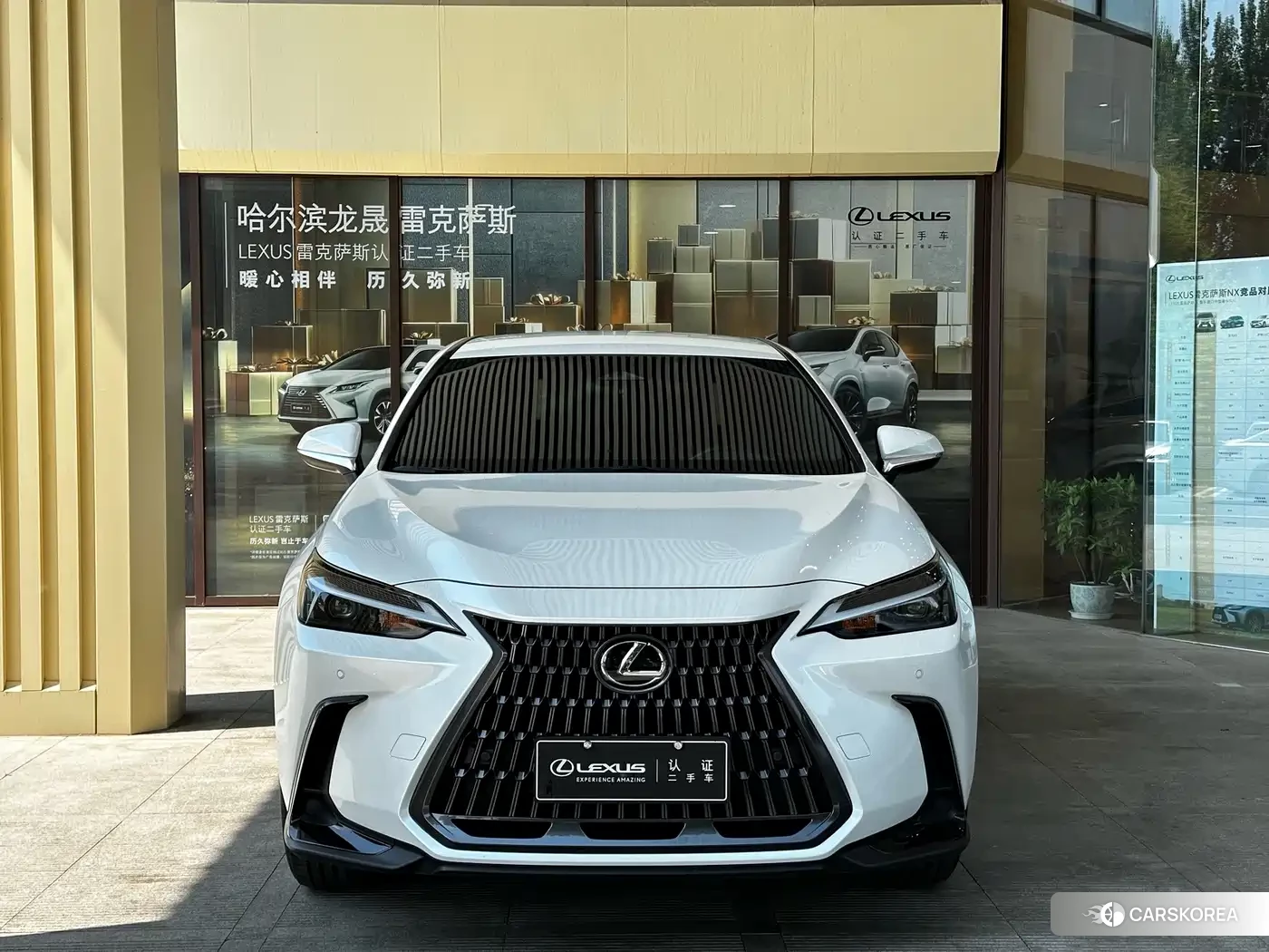 Lexus NX id 4628006 из Китая 9