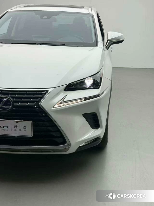 Lexus NX id 4298286 из Китая 17