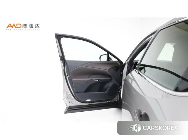 Lexus RX PHEV id 4291291 из Китая 9