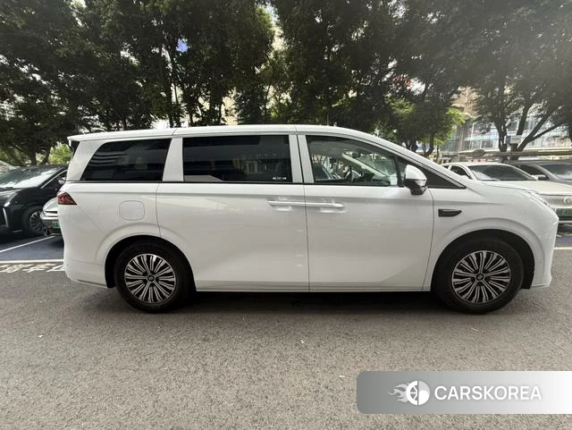BYD summer id 4253707 из Китая 10