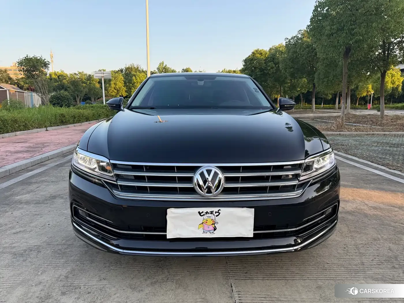 Volkswagen Huiang id 4576743 из Китая 16