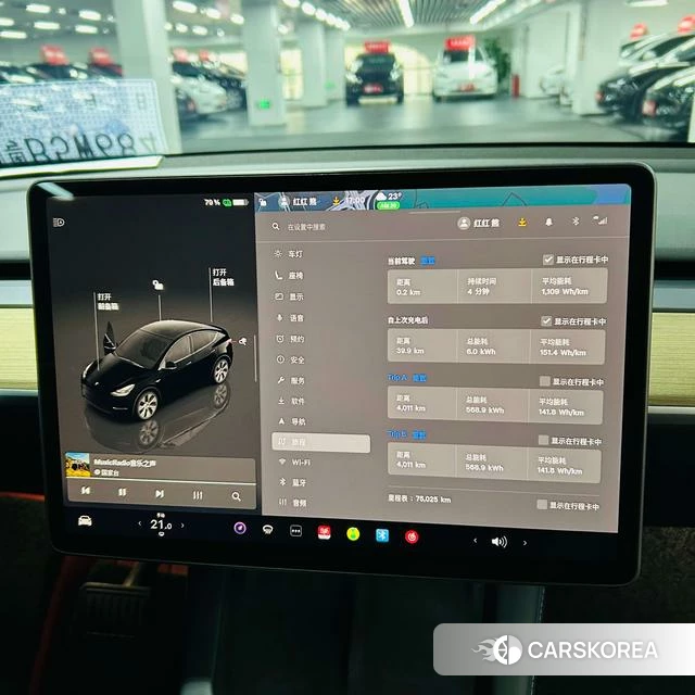 Tesla Model Y id 4254592 из Китая 9
