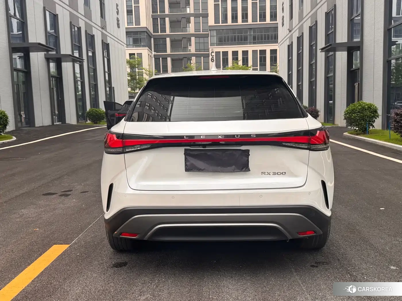 Lexus RX id 4515307 из Китая 9
