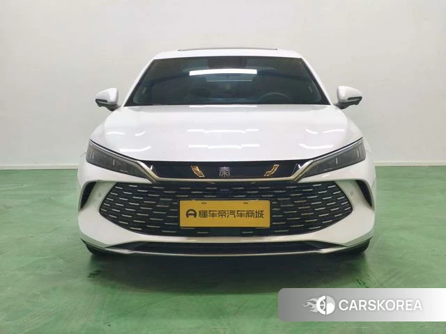 BYD Qin L DM id 4210421 из Китая 19