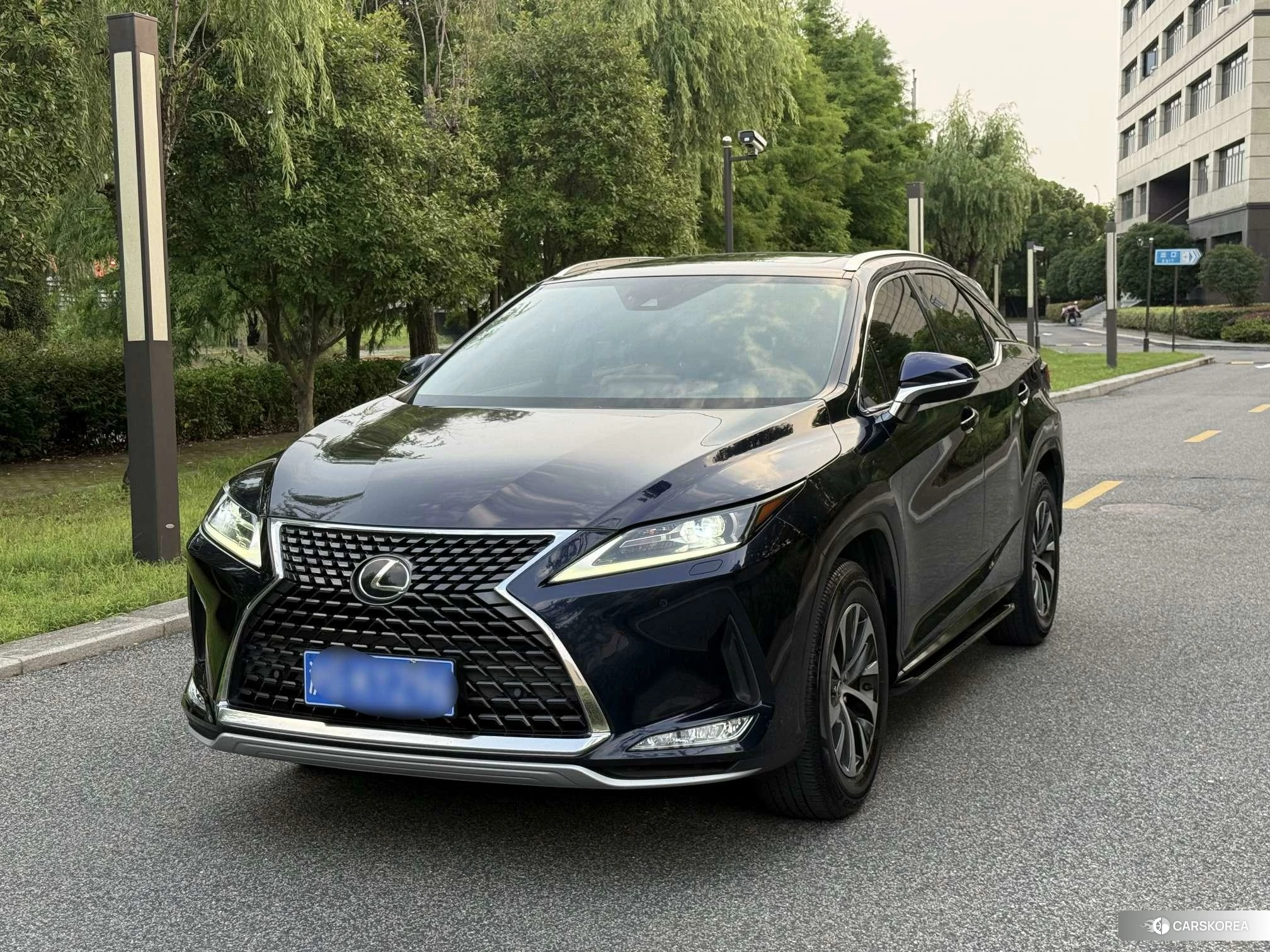 Lexus RX id 4512467 из Китая 15