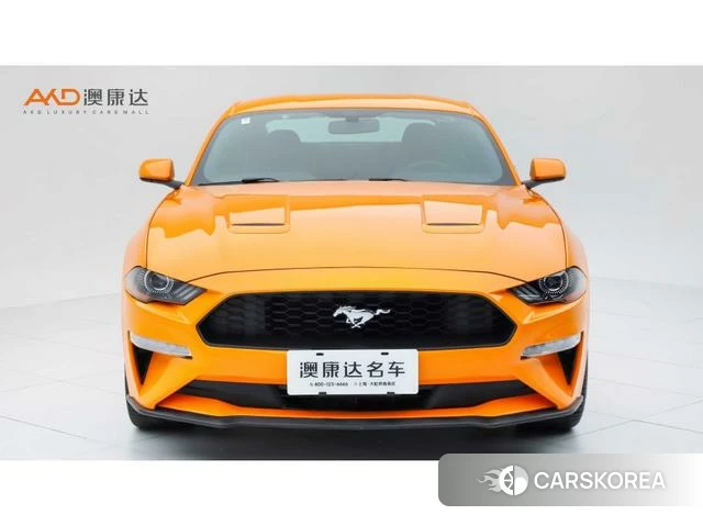 Ford Mustang id 4239437 из Китая 9