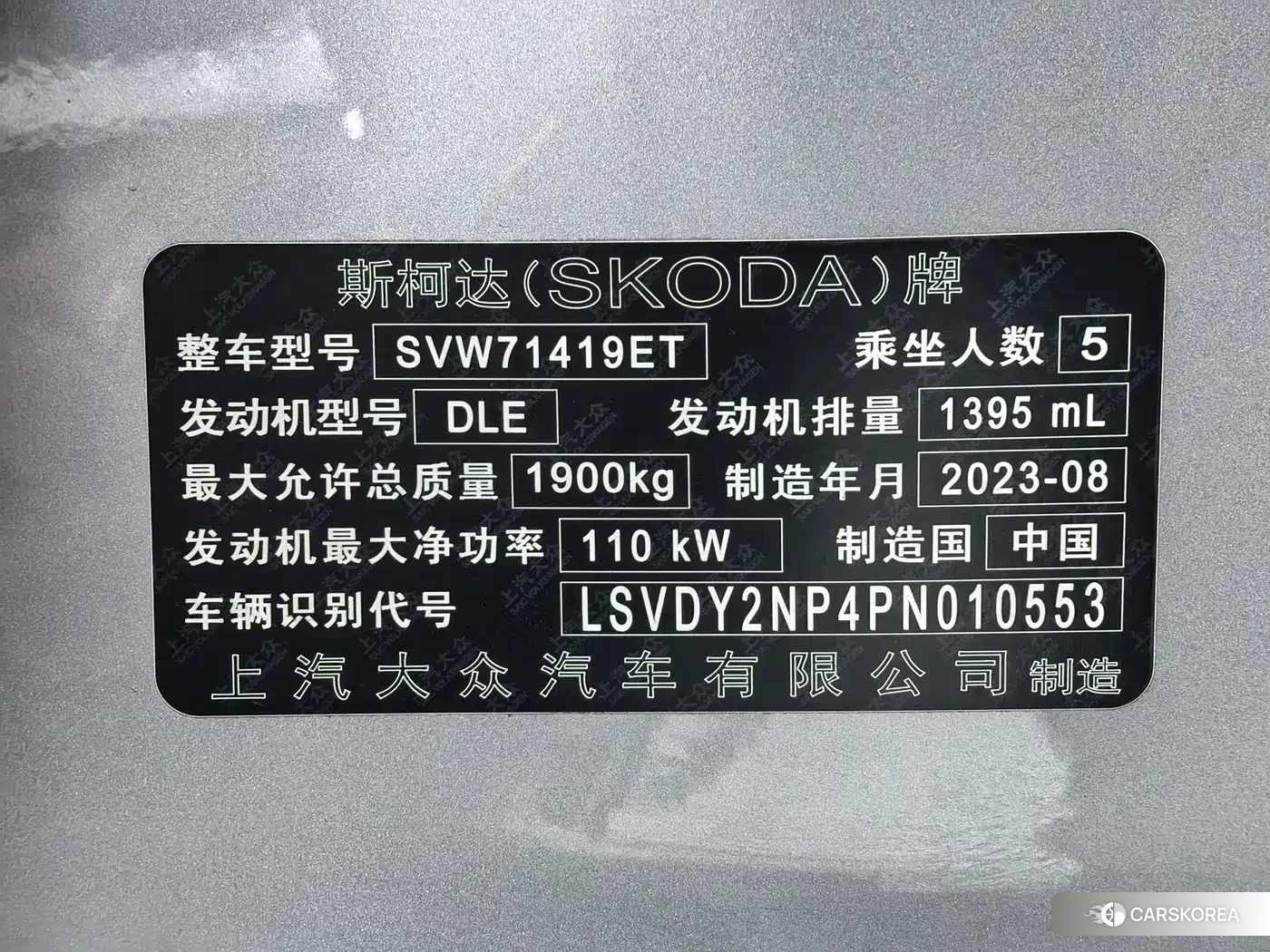 Skoda Speed pie id 4578277 из Китая 24