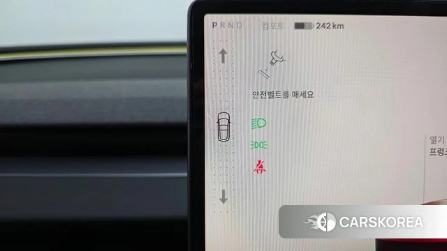 Tesla Model 3 id 4725165 из Кореи 30