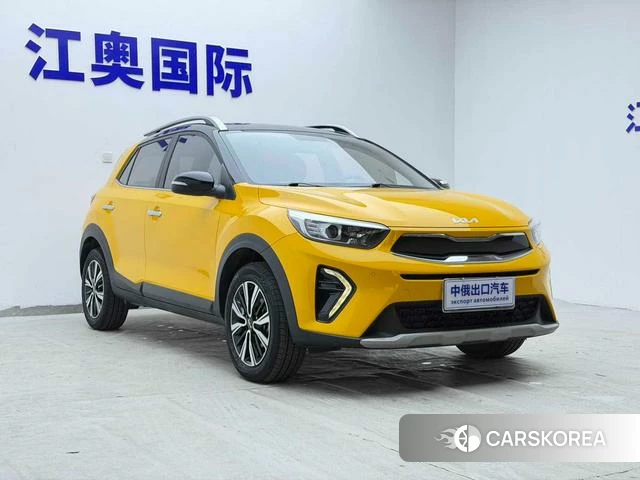 Kia Yi Ran id 4365888 из Китая 22