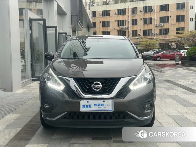 Nissan Loulan id 4261819 из Китая 15