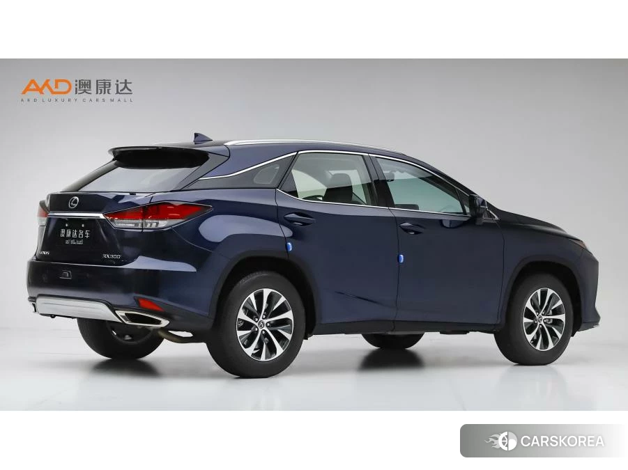 Lexus RX id 4510545 из Китая 9