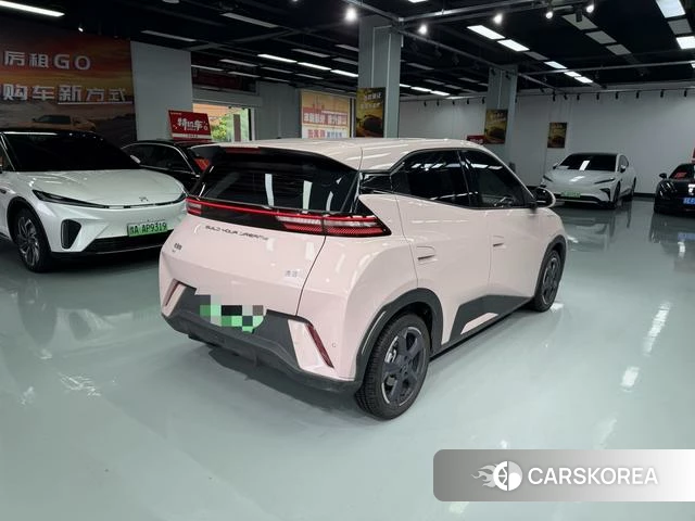 BYD Seagull id 4240588 из Китая 9