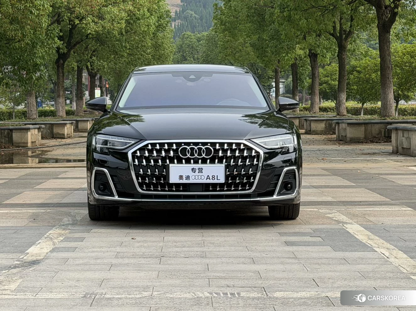 Audi A8 id 4413264 из Китая 9