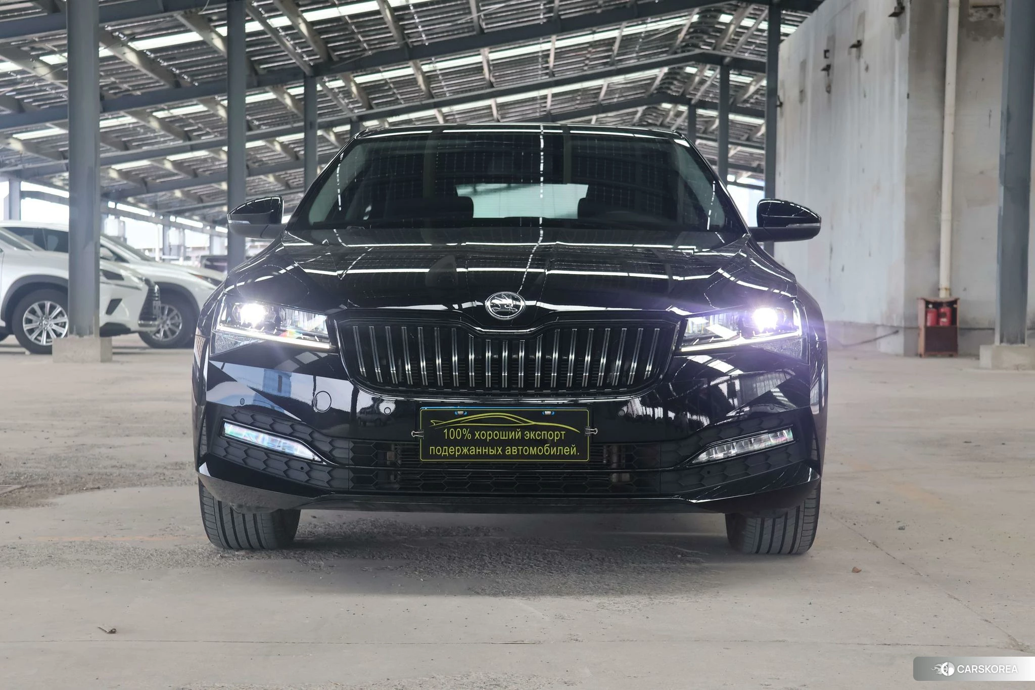 Skoda Speed pie id 4486164 из Китая 14
