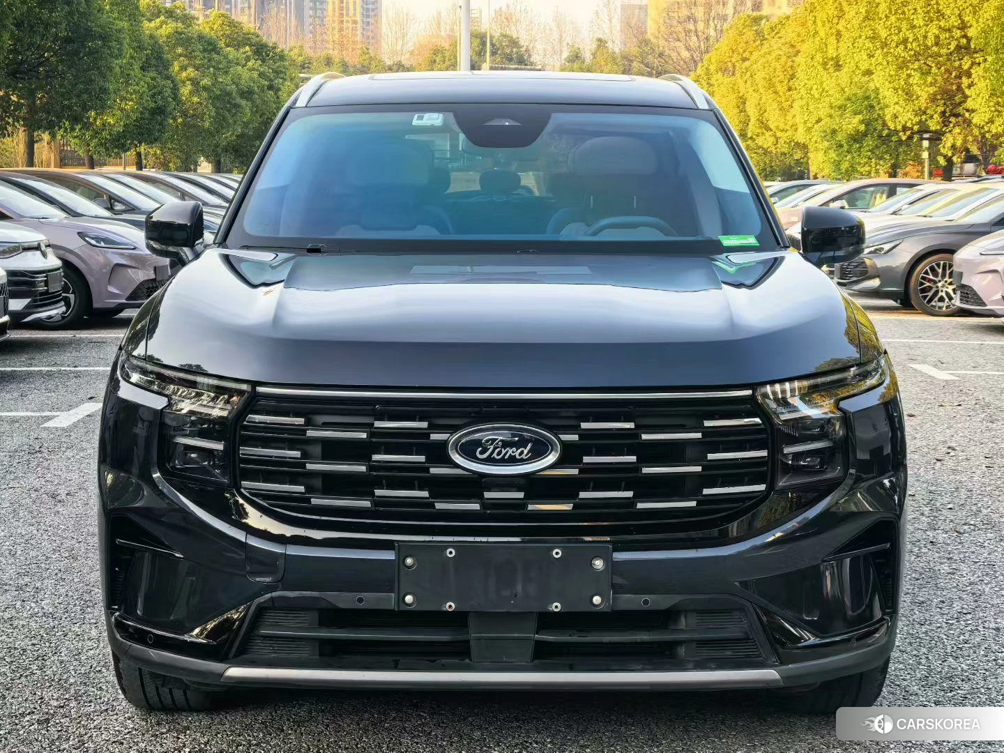 Ford Sharp World id 4454421 из Китая 9