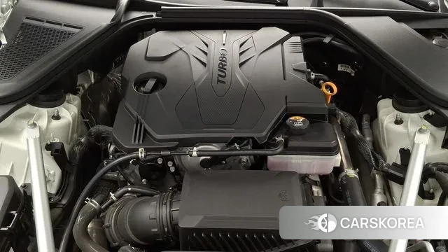 Genesis G80 (RG3) id 3031721 из Кореи 19