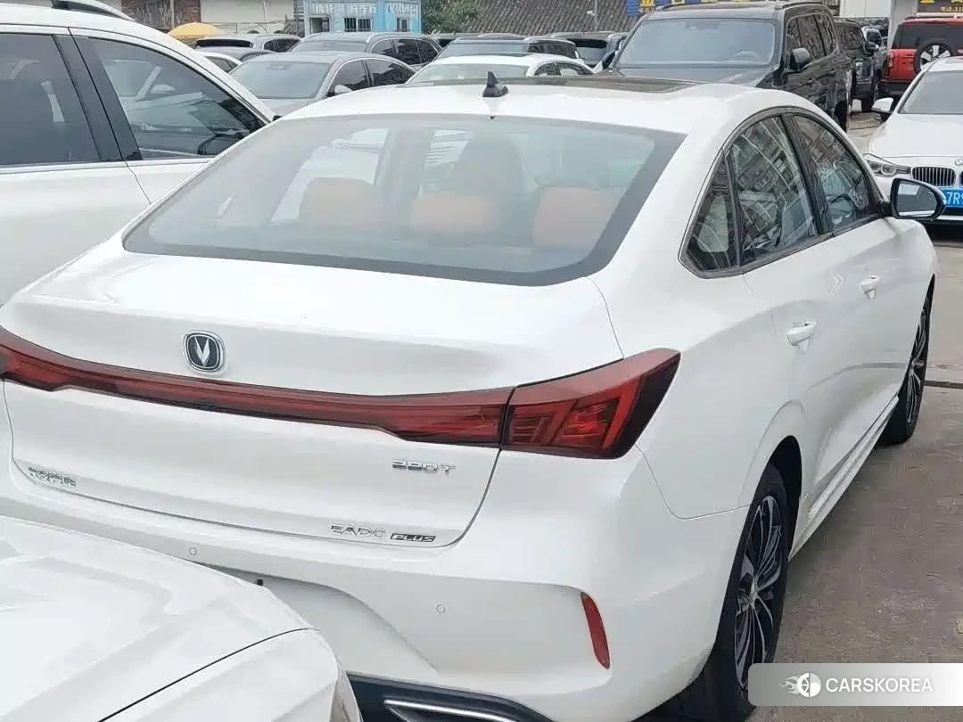 Chang'an Yidong id 4600536 из Китая 10