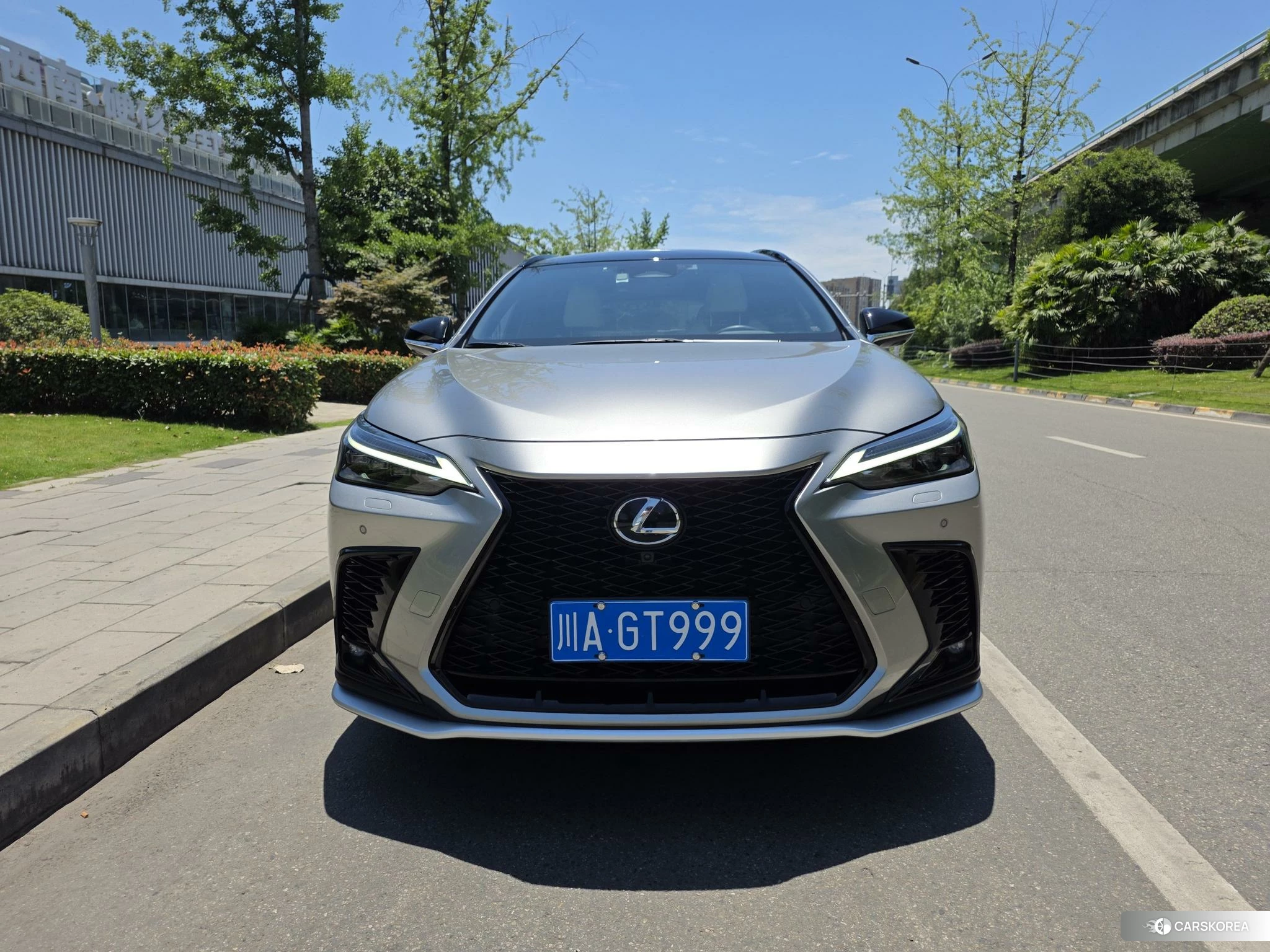 Lexus NX id 4499065 из Китая 15