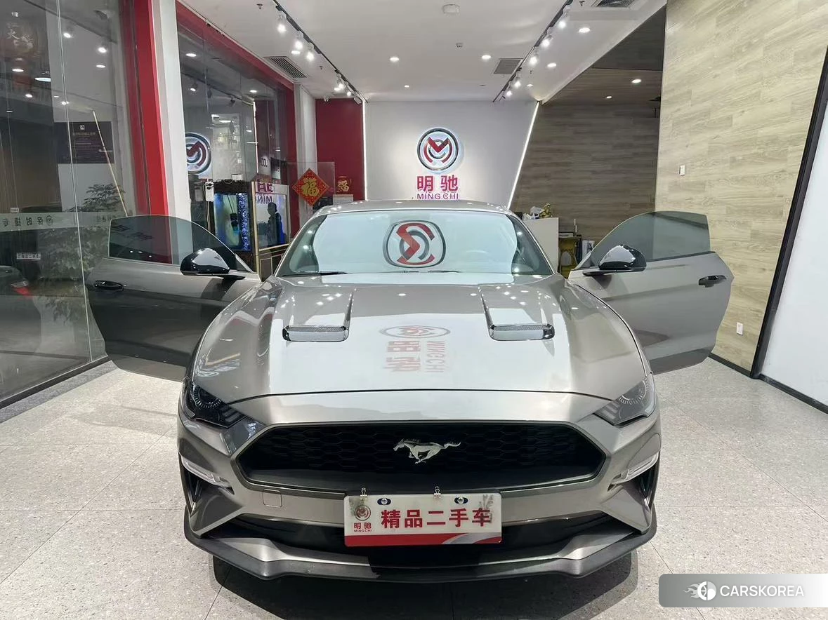 Ford Mustang id 4479446 из Китая 18