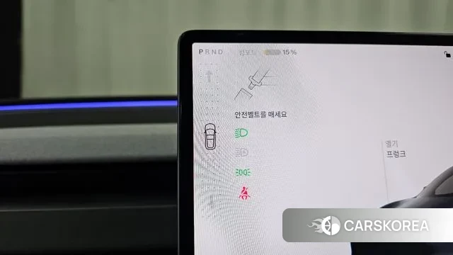 Tesla Model 3 id 2938979 из Кореи 19