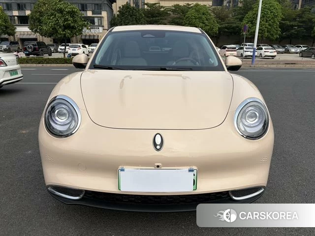 Euler Good cat id 3902216 из Китая 14