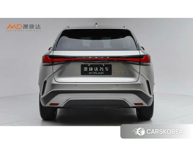 Lexus RX PHEV id 4262126 из Китая 9